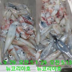 야호!!!내일 소수인원이라도 무조건 출항확정입니다 바다로갑시다 갈치잡자!!! 사진