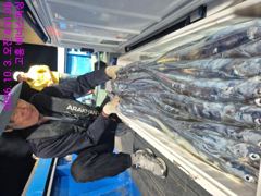 낯부터 새볔까지 줄타는 갈치 사진