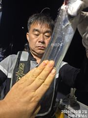 [진해] 와우~3일새벽,내만칼치용기리들 잔치잔치~미친씨알퍼담아,월,화,수욜예약가능 사진