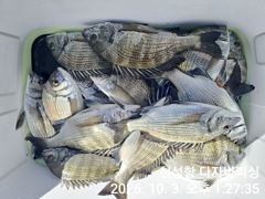 [부산] 다자바피싱 한분 모시고 선상카고 다녀 왔읍니다 사진