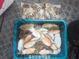 쭈갑조황 글만 보기 사진