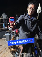 [진해] 문어] 일요일 오후출항(오후3시~밤12시) 예약가능~ 대물올리고…