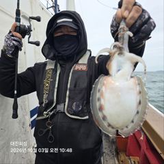 [서천,보령] 무창포 대진피싱 10월3일 쭈꾸미 조황입니다 사진