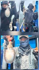 10월 3일 먹물 조황 사진