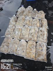 삼천포 쭈꾸미 세자리 유행이네요 멋집니다 놀러오십시요 사진
