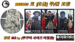 루어파이터호-10/3 토 [조금] 쭈꾸미/갑오징어 조항 입니다. 사진