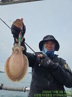 쭈꾸미·갑오징어조황 글만 보기 사진