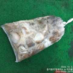 3일 뉴미라클 쭈,갑 오늘도 큰싸이즈로 ~~ 사진