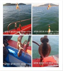 [사천] 왕쭈꾸 장원126수 {평일,할인},화,수,목,자리여유 예약중