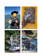 10.03 [군산] 9월30일,"대광어"날마다 초대박조황~200수 넘었다~ 참돔,우럭등~실시간~ 군산낚시프라자 범고래호 사진