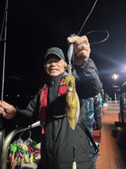 동경호 무늬 k k급~~~~~ 사진