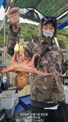 [루시호] 10/3 군산문어 잘 나오고 있습니다 사진