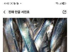 [진해] 내만갈치 선비 이벤트