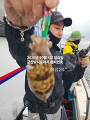 4일, 군산 갑오징어~갑돌이 세상~잘 나오고 있어요~실시간~군산낚시프라자 챔피언호 사진
