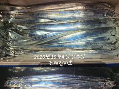 [진해] 내만갈치 씨알짱 마릿수 짱~~~예약가능