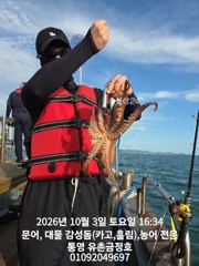 [통영] 통영 금정호 오후문어 키로급문어들이 쩍쩍붙어줍니다 월요일 자리여…
