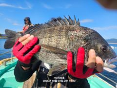 [거제] (FM 피싱호 ㅡ감성돔흘림)~낼(대체공휴일)정상출조합니다 ㅡ4짜…