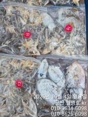 4일 오전 쭈꾸미 조황 사진