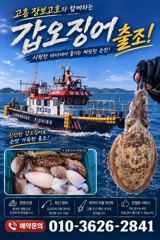 가을녹동돌문어 미친대박조황~