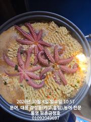 통영 금정호 문어낚시 바람불어도 묵직하게 잡아갑니다 주중주말 자리 여유있습니다 사진