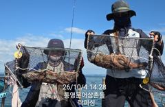 [통영] (문어)대성공 K전후~500g전후까지 마릿수 OK 락피싱(5일 …