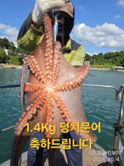 [사천] 삼천포 마린보이 10. 4. 덩치문어 싸이즈 마릿수 풍성하게 뜯…