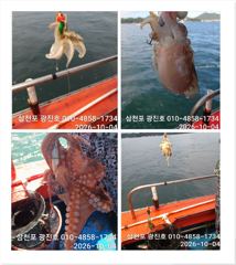[사천] 왕쭈꾸 장원180수 {평일,할인},수,목,토,일,자리여유 예약중