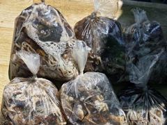 삼천포 광용호 쭈꾸미 조황입니다~! 장원146수