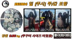 10/4 일 [무시] 쭈꾸미/갑오징어 조항 입니다.
