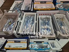 내만갈치 얼음녹이고 쿨러도장찍고~~~예약가능