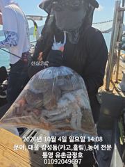 통영 금정호 내일 문어낚시 출항확정! 자리여유있습니다