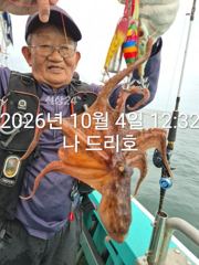 4일, 군산문어 ~싸이즈 확실한 덩치급 문어가~ 망탱이 굿조황~군산낚시프라자 나드리호 사진