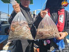 5일 문어 조황입니다.오늘도 풍성하게