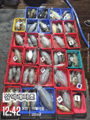 [팁런]1.3k k 완전무시급들 ,마리수로(화요일,소수인원,출항확정) 사진