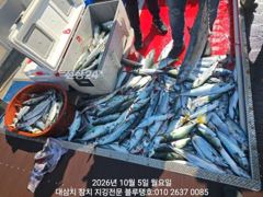 5/월, 오전ㅡ씨알 좋은 고시삼치들, 방어들 폭발로 터지다! 사진