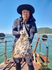 [사천] 쭈꾸미 쏟아져요 내일 쭈꾸미
