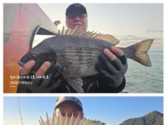 [거제] 어초ㆍ여밭감성돔 47.46이하 연일 4짜4짜4짜4짜들~ 사진