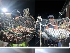 1   [통영] 야간 문어 밤바다 "축제~" 1
