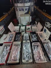 먼바다갈치 ///갈치텐빈&한치 수, 목, 금, 토~ 예약가능 사진
