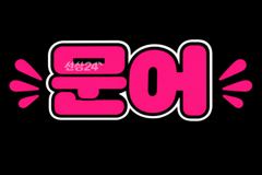 ❤️((문어 문어)) ❤️내일 문어 여유석있습니다