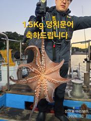 삼천포 마린보이 10. 7. 수요일 부터 주간/야간문어 뜯으로 출항합니다. 사진