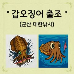▶10/7. 실시간! 갑오징어들~(군산. 웅비1호) 내일도. 갑이 가요~