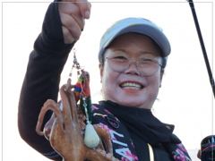 [고성] 사량도 돌문어 조황