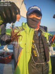내만 갈치 새벽 피딩에 정신 없고~~(오늘 예약 가능) 사진