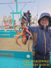 [진해] 문어 내만 문어 초보도 돌틈에서 들어뽕 1.5kg 최고 18수 … 사진