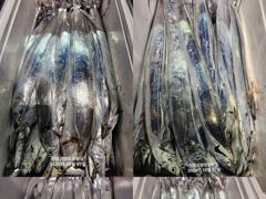 [7일입항] "내만갈치" 씨알이가 므찌네요!! 4지까지 올라왔어요~ 쿨러 빵빵하네요!! [오늘예약가능] 010-7660-2435