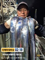준내만[갈치/텐빈/텐야]쿨러조황~대갈치 찾아~토.일.월 예약가능 사진