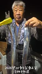 내만 갈치 바글바글 피딩받아 손맛 찐~하게 보고!!(예약가능)