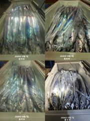 [여수,광양] [여수플라워호] 7일 갈치 조황~ 010-2004-5524
