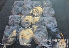 <볼보호> 쭈+갑 마무리 조황(7일)-즐낚하고 입항했습니다. 사진